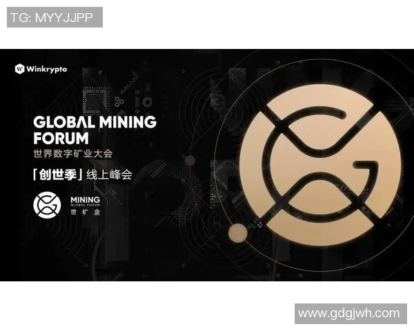 成都街舞队运营分析：成功经验与面临挑战的深度探讨