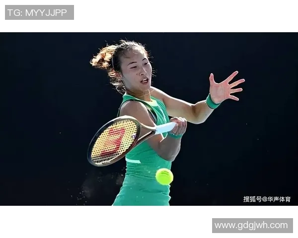 杭州排球队速度之美大满贯点评展现竞技魅力与团队协作